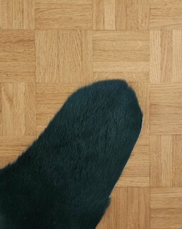 parquet existant en bois debout rénové